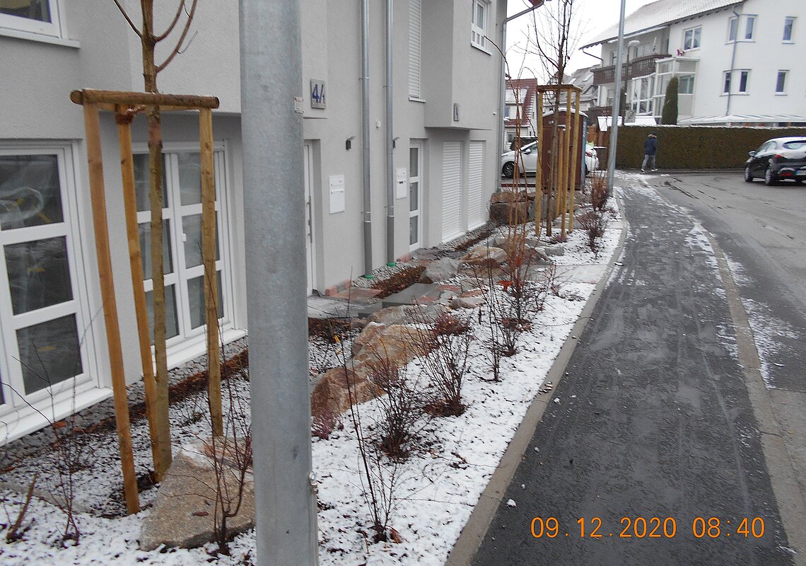 Die Bepflanzung auf der Eingangsseite ist fertig und der erste Schnee ist gefallen